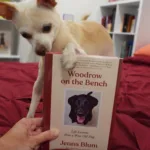 Review of Woodrow on the Bench
